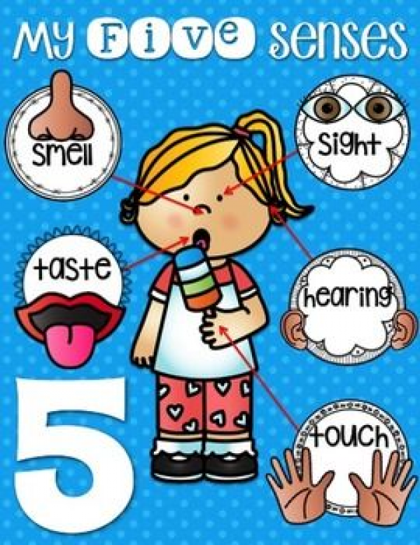 Five Senses Chart Preschool