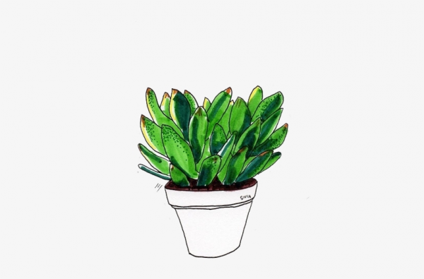 Aesthetic Clipart Plant and other clipart images on Cliparts pub™