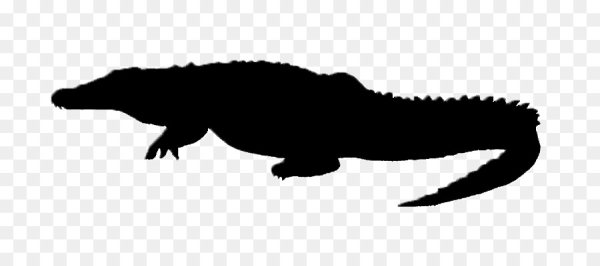 Alligator Clipart Silhouette and other clipart images on Cliparts pub™