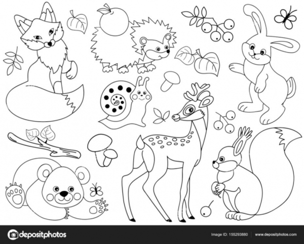 Animals Black And White Clipart Forest and other clipart images on ...