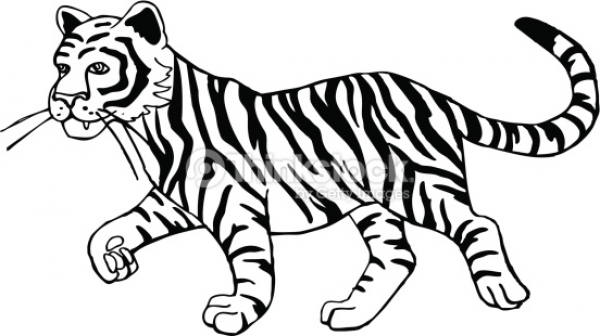 Tiger Clipart Black And White Cute and other clipart images on Cliparts