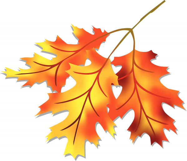 Autumn Leaves Clipart Beautiful and other clipart images on Cliparts pub™