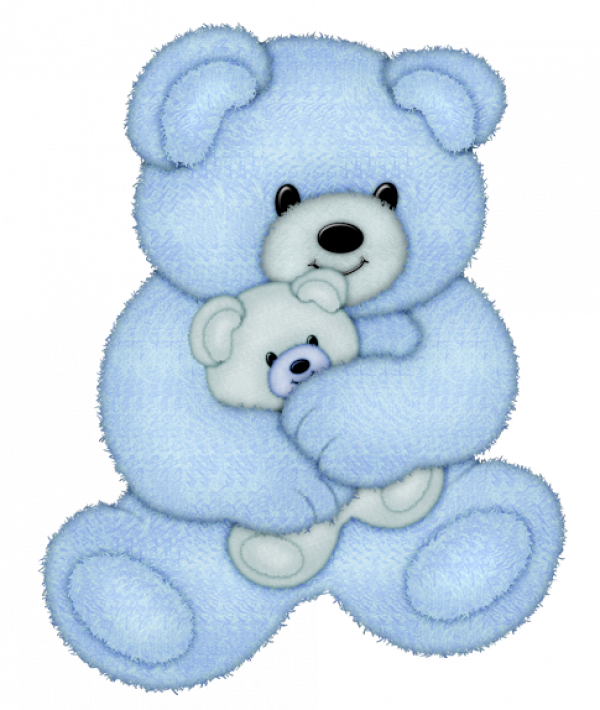 blue bear cute