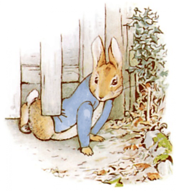 Beatrix Potter Clipart Cartoon and other clipart images on Cliparts pub™