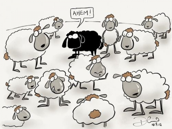 Портит стадо. Овца карикатура. Баран карикатура. Стадо Баранов карикатура. Карикатура на Баранов.