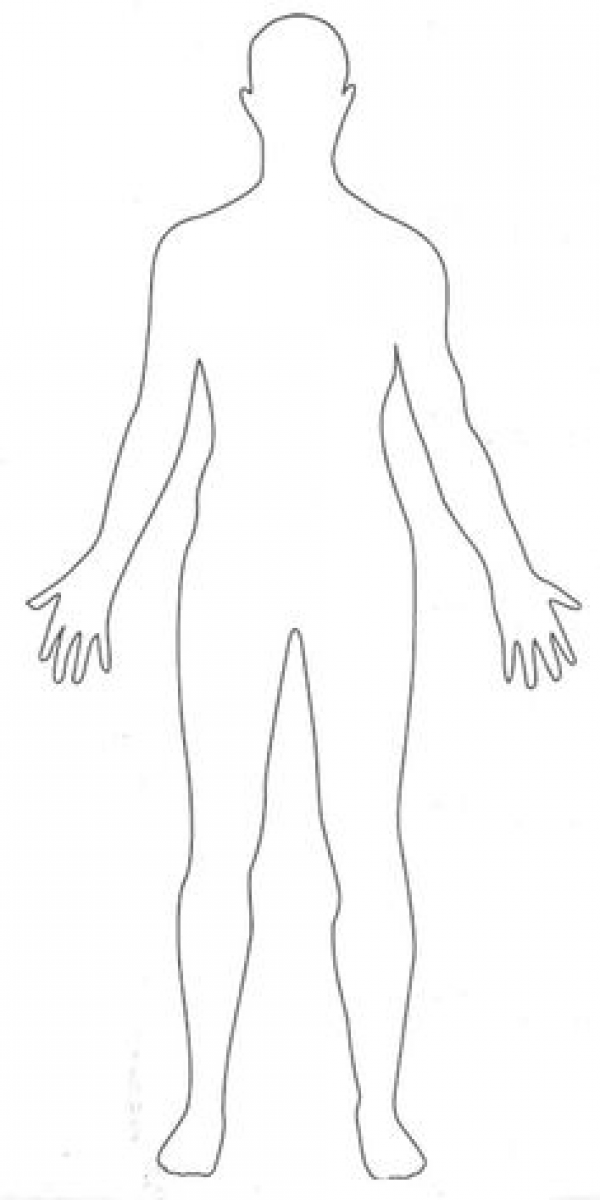 body outline