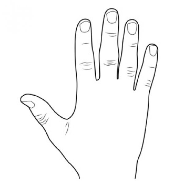 Hand body. Body Parts hand. Body Parts hand and fingers. Clipart Black and White Parts of the body. Finger Parts Clipart.