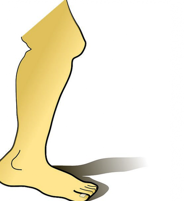 Clipart Leg Shin and other clipart images on Cliparts pub™