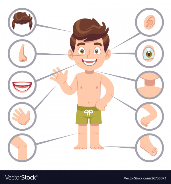 Body Part Clipart Child And Other Clipart Images On Cliparts Pub™