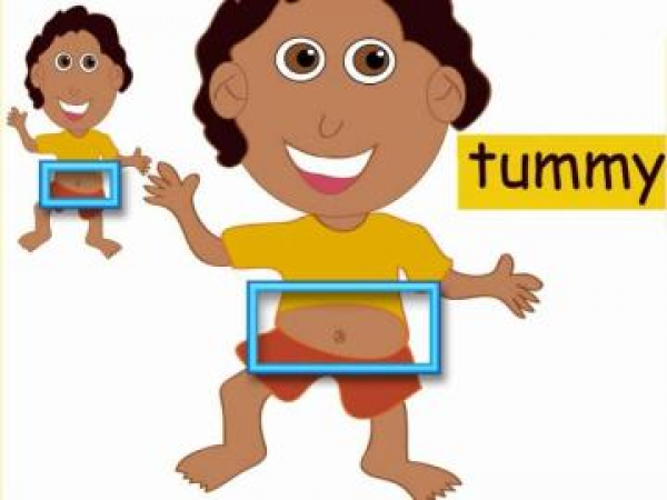 My tummy перевод. Tummy картинка. Tummy детские картинки. Карточки на английском Tummy. Tummy Flashcard.