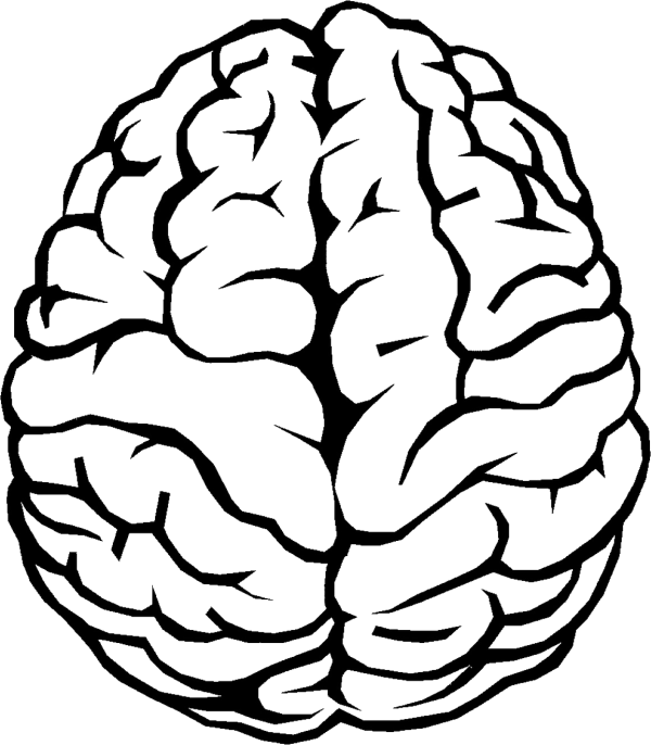 Brain Clipart Outline and other clipart images on Cliparts pub™