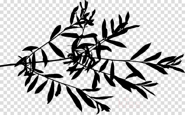 Тень от листьев как рисовать