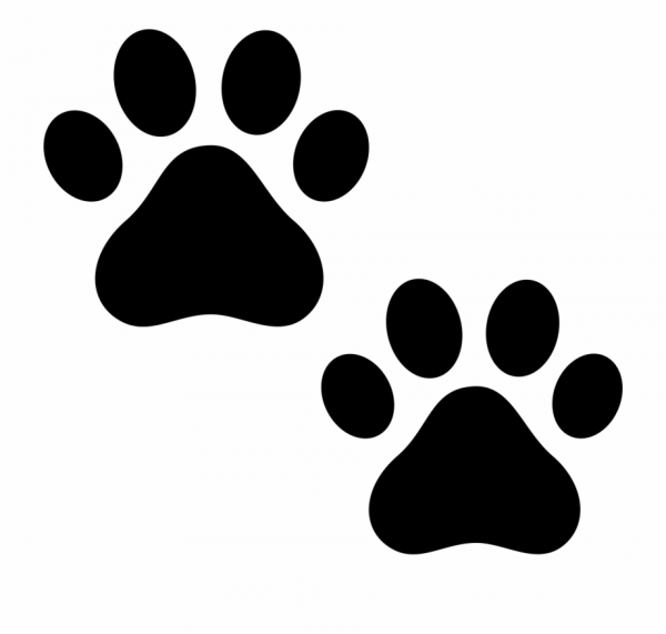 Cat Paws Clipart Transparent and other clipart images on Cliparts pub™