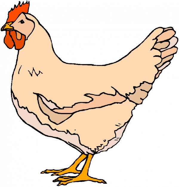 Chicken Clipart Simple and other clipart images on Cliparts pub™