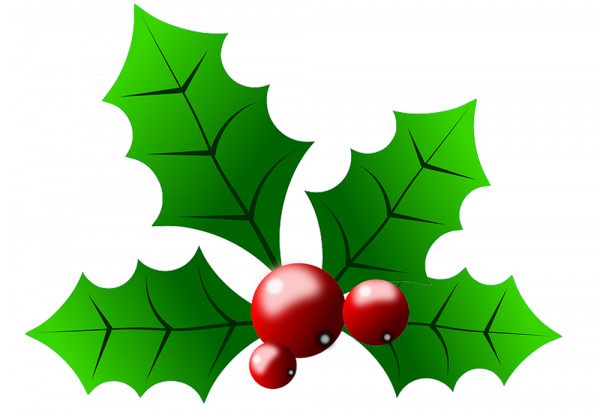 Christmas Clipart Transparent Holly and other clipart images on Cliparts pub™