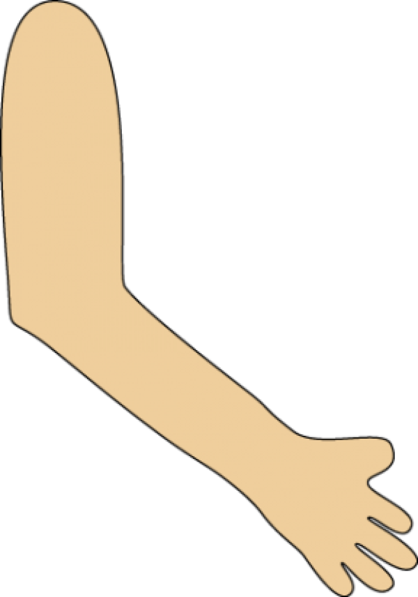 Clipart Arm Forearm and other clipart images on Cliparts pub ™.