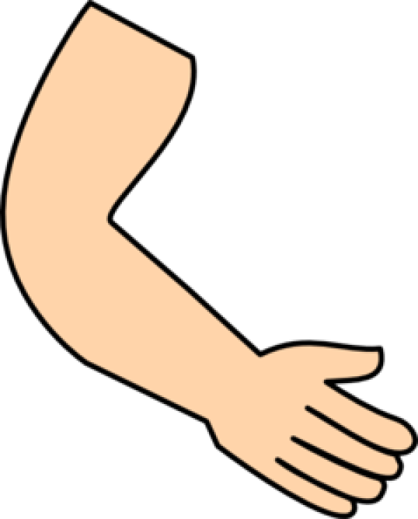 Body Part Clipart Arm and other clipart images on Cliparts pub™