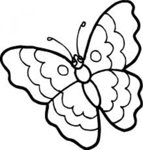 Butterfly Black And White Clipart Cute Cartoon and other clipart images