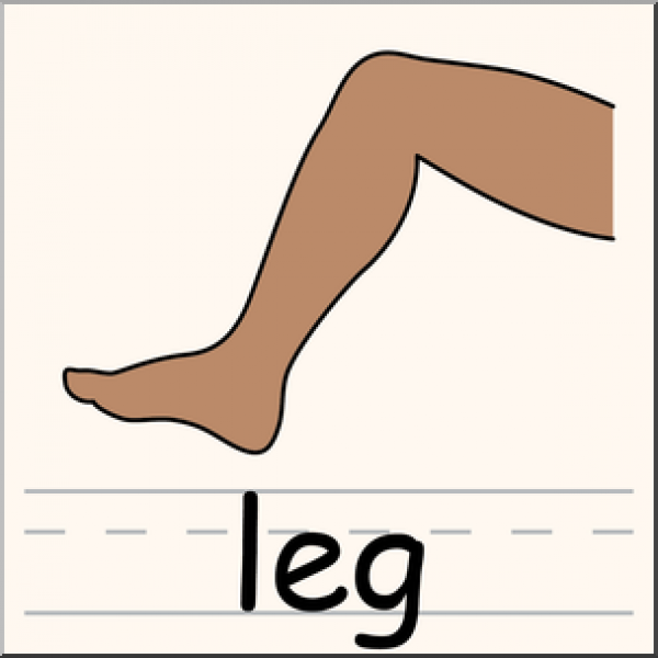 Переведи legs. Части тела ноги. Карточка нога. Leg части тела. Leg рисунок.