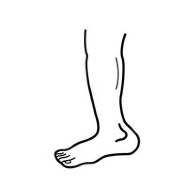 clipart-leg-outline-and-other-clipart-images-on-cliparts-pub