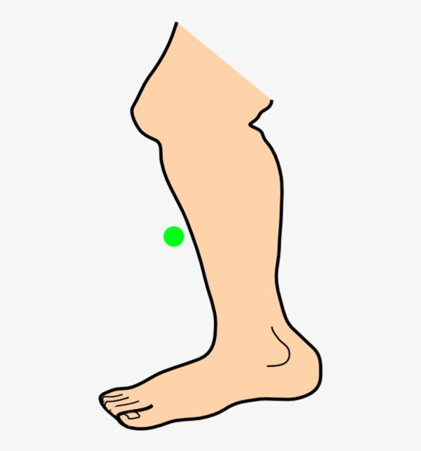 Clipart Leg Shin And Other Clipart Images On Cliparts Pub™