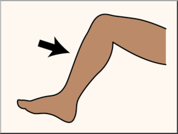 Clipart Leg Shin And Other Clipart Images On Cliparts Pub™