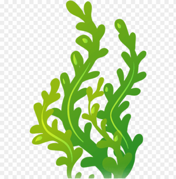 Coral Clipart Seaweed and other clipart images on Cliparts pub™