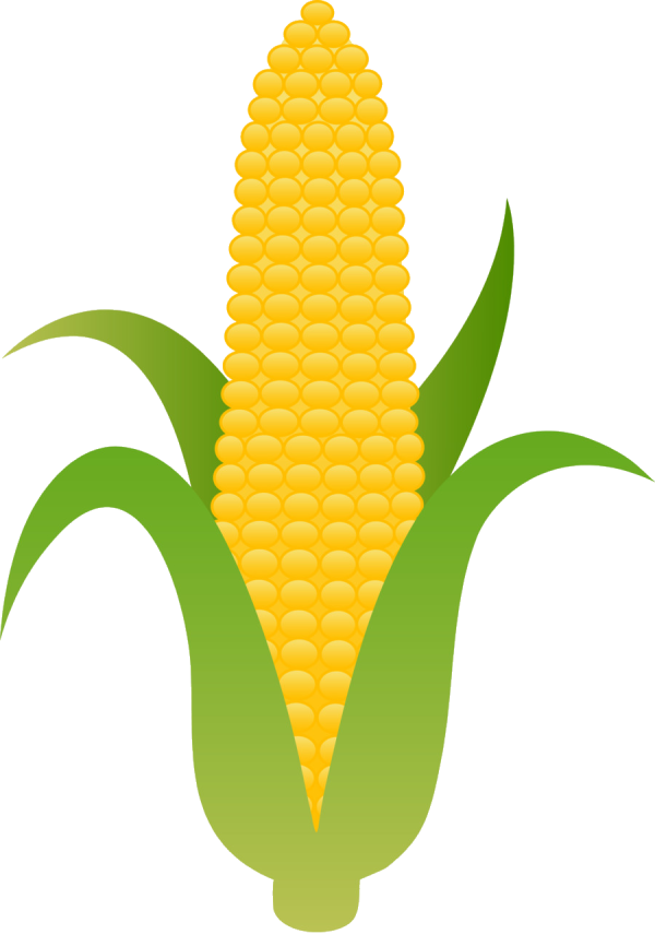 Crops Clipart Corn and other clipart images on Cliparts pub™