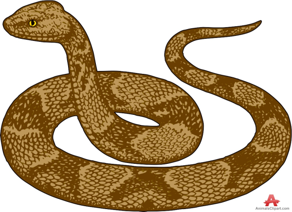 Desert Clipart Snake and other clipart images on Cliparts pub™