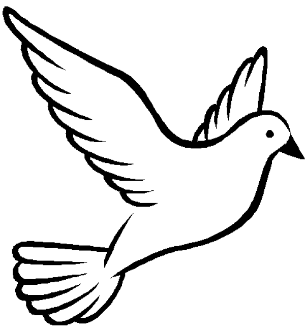 Dove Clipart Outline and other clipart images on Cliparts pub™