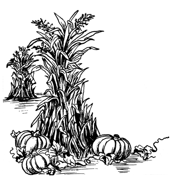 Fall Clipart Black And White Vintage and other clipart images on