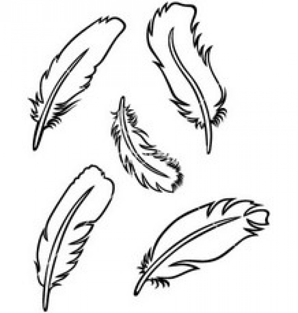 Feather Clipart Outline and other clipart images on Cliparts pub™