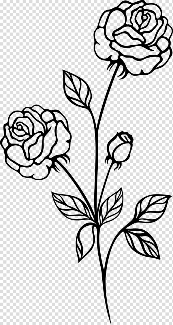 Flower Clipart Black And White Transparent Background and other clipart