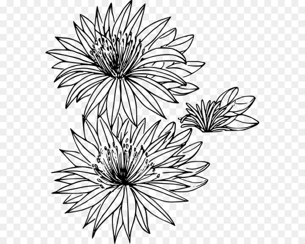 Flower Outline Clipart Transparent and other clipart images on Cliparts pub™