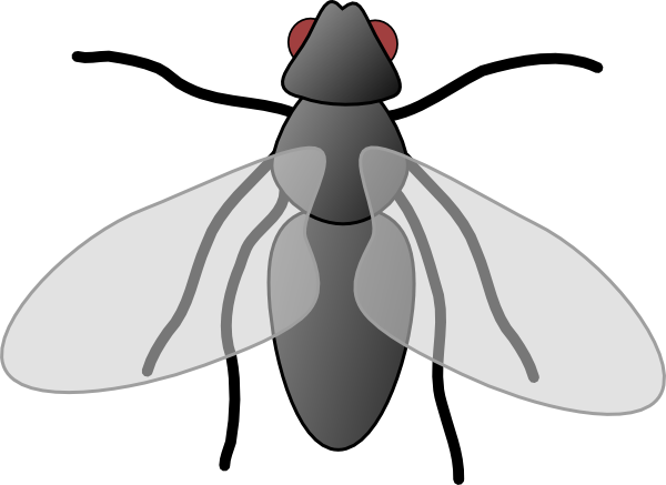 Fly Clipart and other clipart images on Cliparts pub™