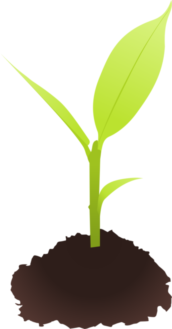 Free Clipart Plants Stem and other clipart images on Cliparts pub™