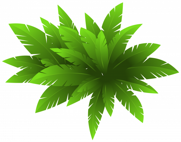 Free Clipart Plants Transparent Background and other clipart images on