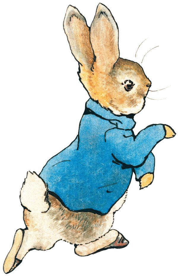 Beatrix Potter Clipart Cartoon and other clipart images on Cliparts pub™