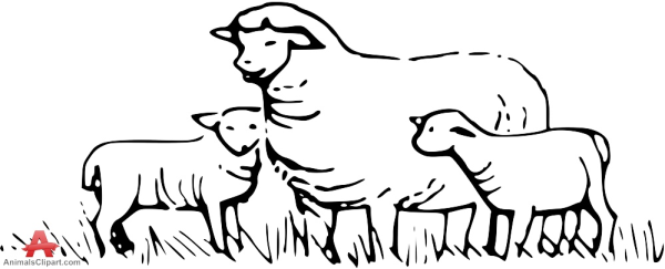 Free Sheep Clipart Pasture and other clipart images on Cliparts pub™