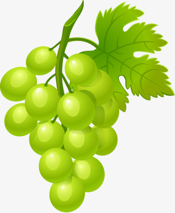 Grapes Clipart Green and other clipart images on Cliparts pub™