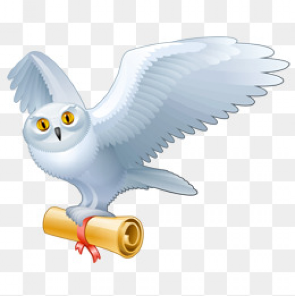 Harry Potter Clipart Owl and other clipart images on Cliparts pub™