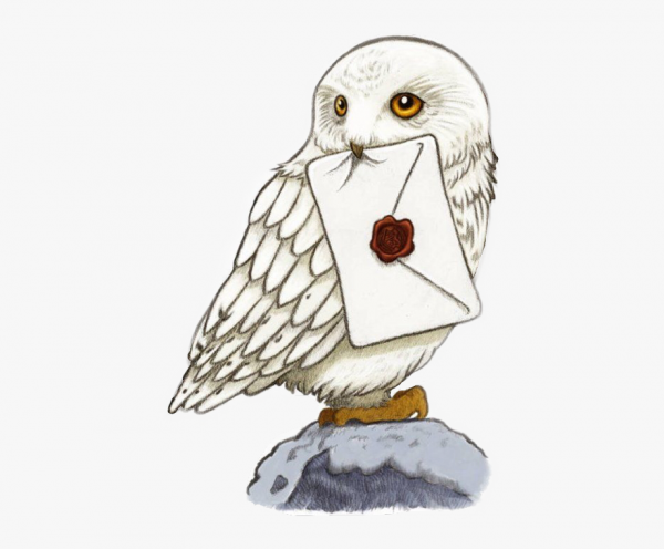 Harry Potter Clipart Owl and other clipart images on Cliparts pub™