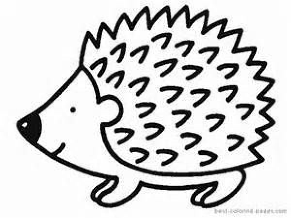 Hedgehog Clipart Outline and other clipart images on Cliparts pub™