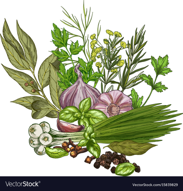 Herbs Clipart Culinary And Other Clipart Images On Cliparts Pub 