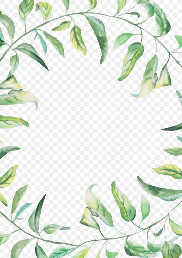 Ivy Border Clipart Watercolor and other clipart images on Cliparts pub™