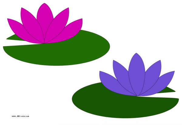 Lily Pad Clipart Simple and other clipart images on Cliparts pub™