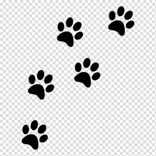 Paw Print Border Clipart Transparent Background and other clipart ...