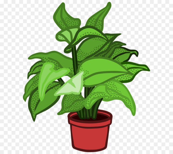 Plant Clipart and other clipart images on Cliparts pub™
