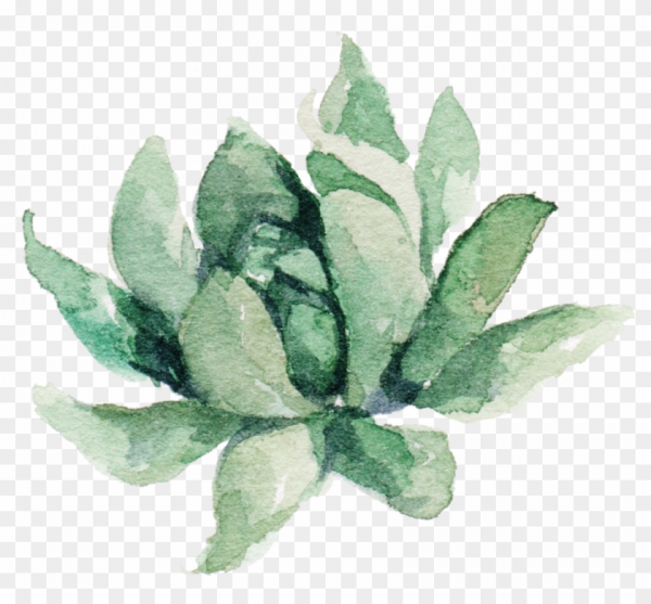 Plant Clipart Aesthetic and other clipart images on Cliparts pub™