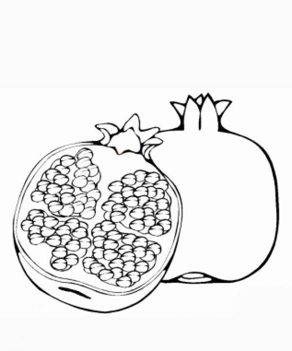 Pomegranate Clipart Outline and other clipart images on Cliparts pub™